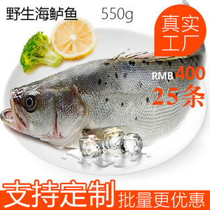 冷凍鱸魚市場分析 價格、圖片、批發(fā)采購及供應(yīng)商渠道