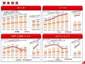 高鑫零售2024上半年業(yè)績(jī)解讀 營(yíng)收穩(wěn)健增長(zhǎng)，日用百貨銷(xiāo)售成亮點(diǎn)